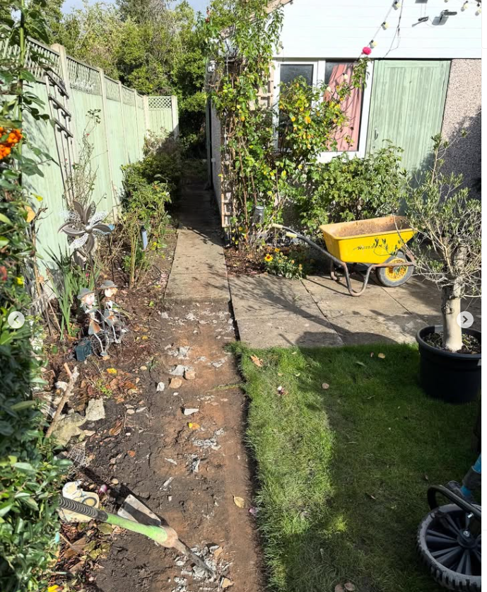 House, grass, pathway