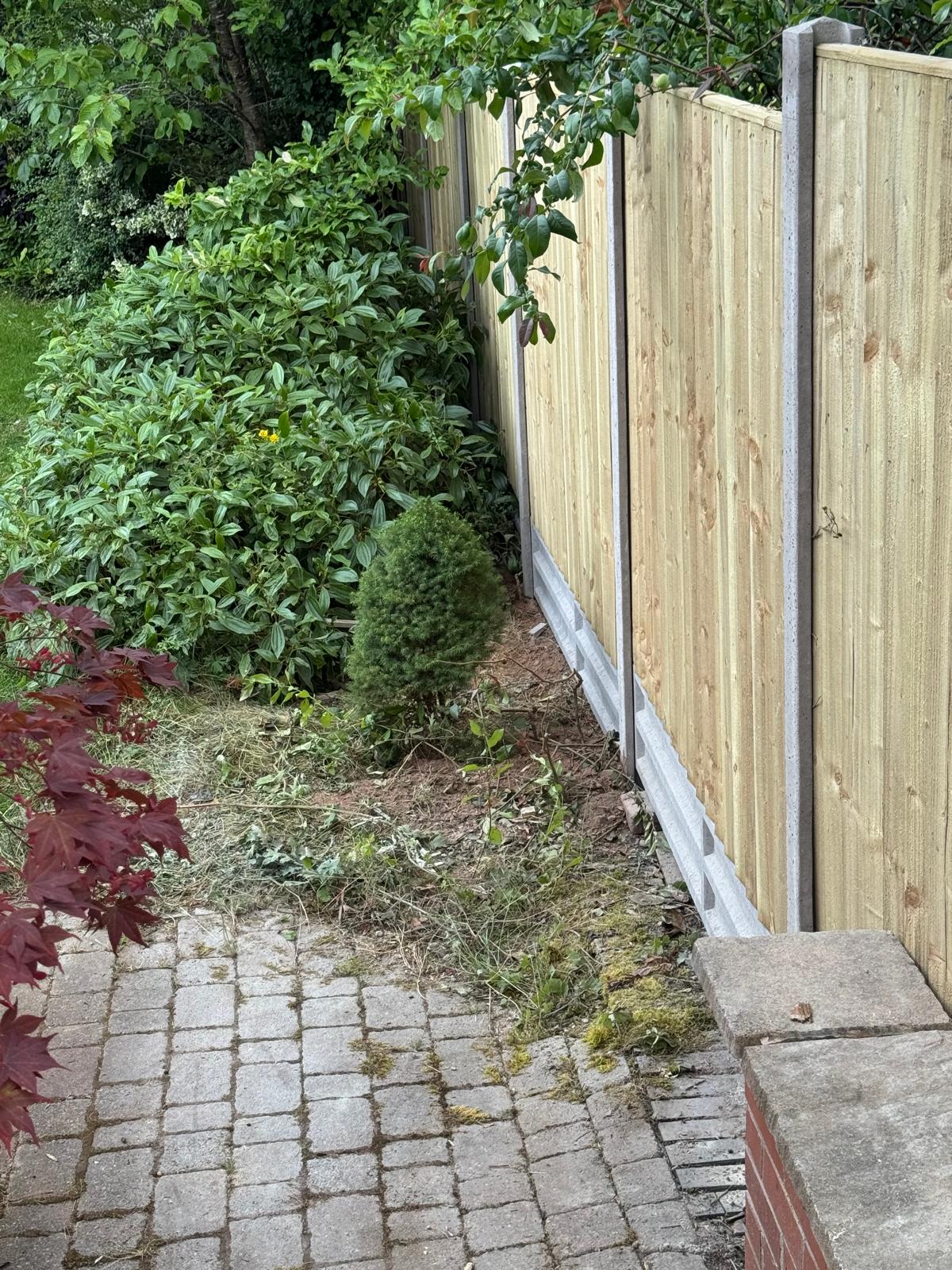 Fence, Tree, Wall