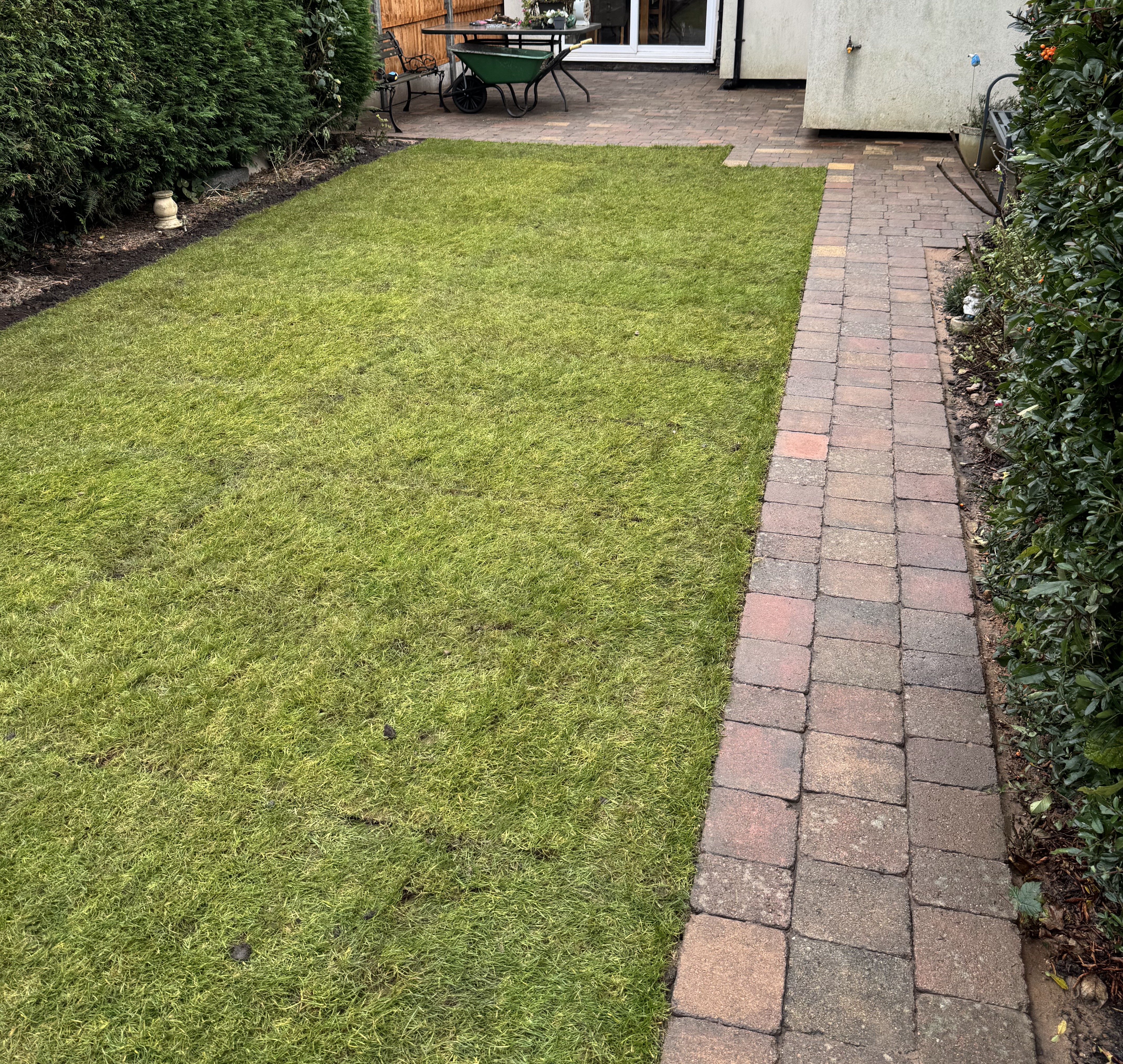 House, grass, pathway